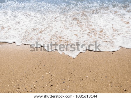 Wave on sandy beach background. Summer time.