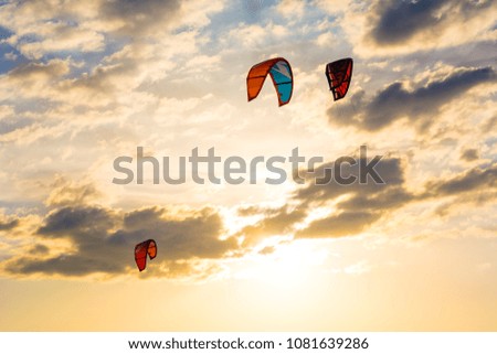 Kite-surfing and kites in the sky. Recreational activities, water sports, hobbies and fun in summer. Artistic picture. Beauty world.
