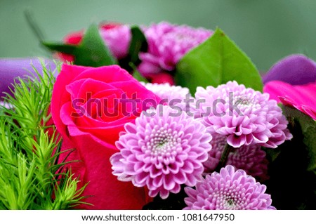 Very beautiful of bouquet roses flowers in pink and purple colors with green leaves blur background for Valentine's day, wedding, and birthday ceremonies. 