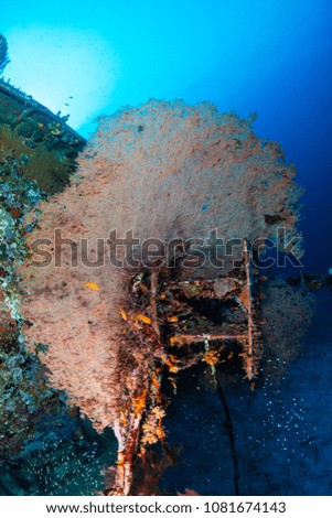 A underwater shipwreck on a tropical coral reef