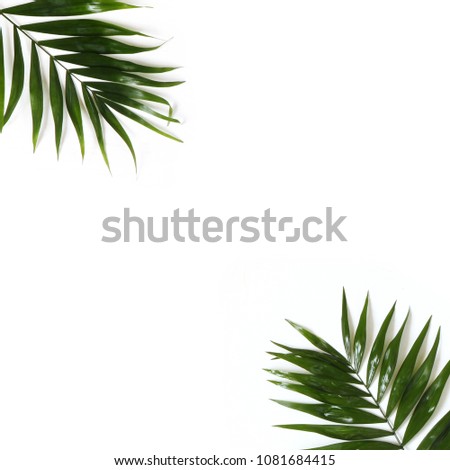 Styled stock photo. Jungle composition of green palm leaves isolated on white background. Tropical summer holiday, vacation concept. Flat lay, top view, square.