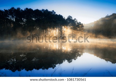 Morning sunrise at Pang-ung, Pine forest in Mae Hong Son,Thailand