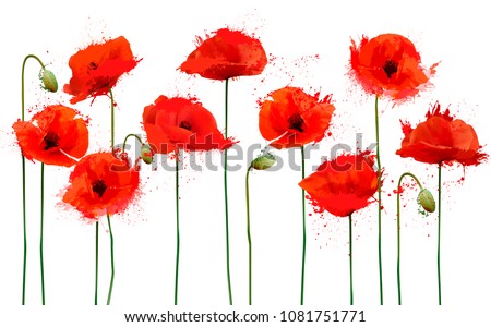 Abstract beautiful background with red poppies flowers. Vector. Royalty-Free Stock Photo #1081751771