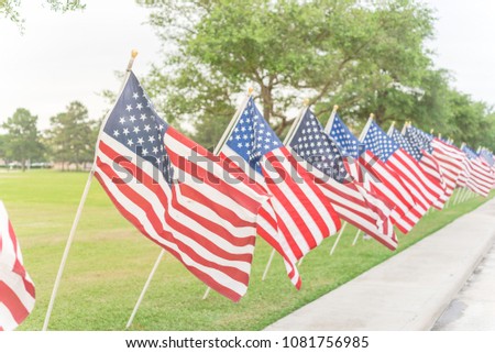 A long row of lawn American Flags on green grass yard blow in the wind. Groups of flying USA flags at an urban park along concrete pathway street. Memorial Day celebration in Katy, Texas, USA.