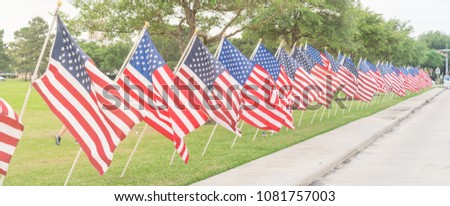 Panorama view long row of lawn American Flags on green grass yard blowing. Groups of flying USA flags at an urban park along concrete pathway street. Memorial Day celebration in Katy, Texas, USA