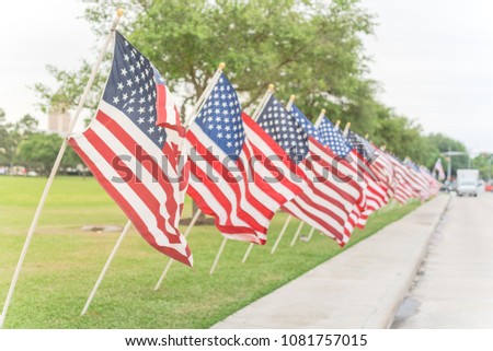 Selective focus long row of lawn American Flags on green grass yard blow in the wind. Groups of flying USA flags at an urban park along concrete pathway street. Memorial Day celebration in Katy, Texas