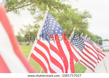 Selective focus long row of lawn American Flags on green grass yard blow in the wind. Groups of flying USA flags at an urban park along concrete pathway street. Memorial Day celebration in Katy, Texas