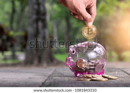the abstract image of the hand dropping a bitcoin on a piggy bank in the park. the concept of cryptocurrency, blockchain, Bitcoin, digital, financial, investment, and internet of things