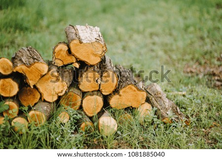 A pile of cut tree trunks giving a nice view of the concentric year rings.Pile of wood logs storage
