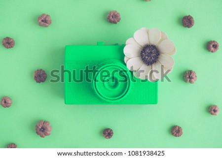 Retro camera with flower and plant parts on green background. Photography and nature concepts.
