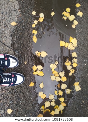 A beautiful picture of a puddle with autumn mood, fallen leaves and legs of a sports girl.