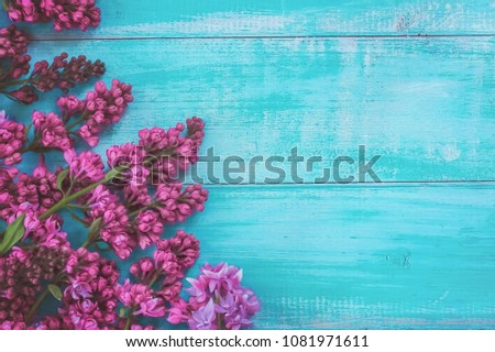 frame with lilac colors. background with lilac branches. branches of lilac the top view.