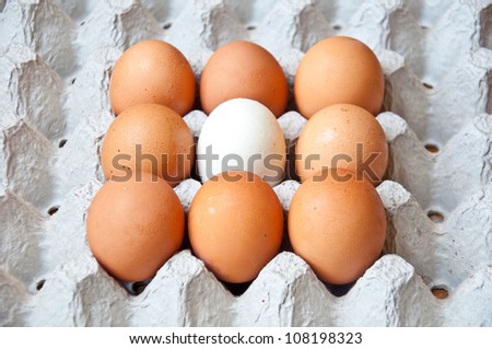 white and brown egg for food
