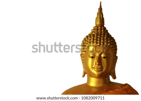 Buddha in the temple for worship.