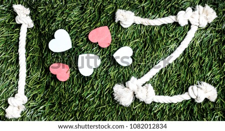 I Love Z rope text layed on green grass surface.