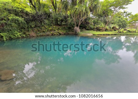 The blue waters of tiny Malinab lagoon invite the visitor to take a refreshing swim and relax on the tree-shaded shore equipped for picnic. Sipalay-Negros Occidental-Western Visayas-Philippines.