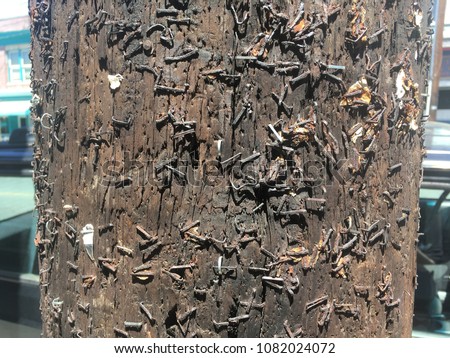 Telephone Pole - Wood Utility Pole Covered in Old Metal Staples and Nails - Rough Surface