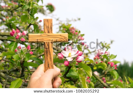 wooden cross in the park