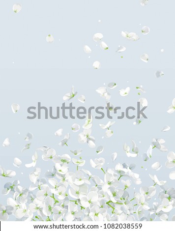 Summer wind - luxurious white vector Hydrangea flower and Apple blossom with flying petals in watercolor style for 8 March, wedding, Valentine's Day,  Mother's Day, sales and other seasonal events. Royalty-Free Stock Photo #1082038559