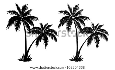 Tropical palm trees, black silhouettes and outline contours on white background. Vector