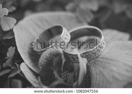 Closeup of violet fresh orchid flower with two beautiful engagement golden rings on green natural backgroud, horizontal picture