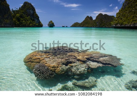Coral bommies grow in a beautiful, remote lagoon in Wayag, Raja Ampat, Indonesia. This tropical region is known as the heart of the Coral Triangle due to its marine biodiversity. Royalty-Free Stock Photo #1082084198
