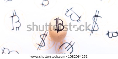 Egg with bitcoin on a white background