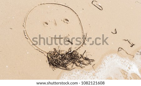 face of a funny man painted on sand with a beard from seaweed