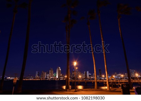 San Diego Skyline and palm trees at night