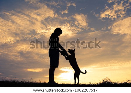 Silhouette cute boy and dog playing at sky sunset in holiday