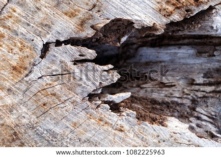 Old cutting wooden surface background