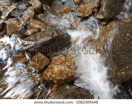 Waterfall with beautiful wood and stone roots.