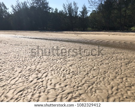 Beautiful sandy beach 