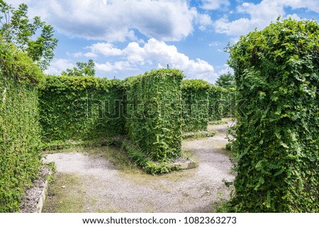 Green maze garden with blue sky