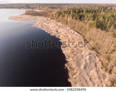 Aerial view of drone - beautiful landscape with reeds on coast of lake in sunlight of sunset in Latvia.