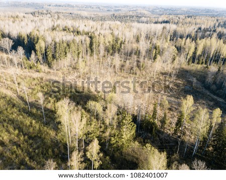 drone image. aerial view of rural area with fields and forests in cloudy spring day. latvia
