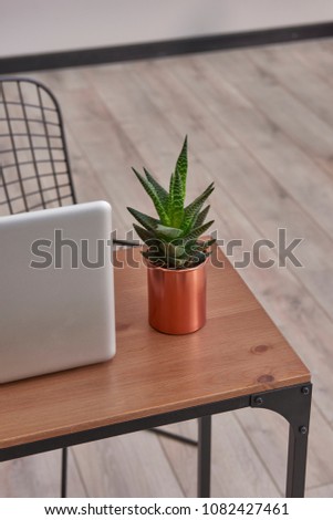 working corner style home decoration with laptop and vase of plant style. technology detail.