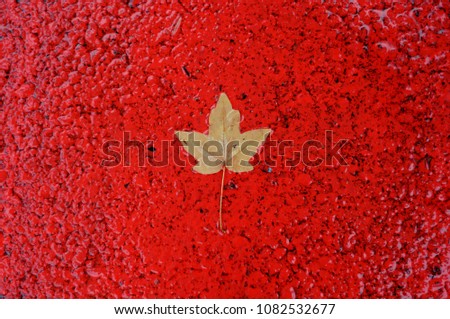 maple leaf on the red road as a Canadian flag