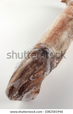 Pictures of frozen squid