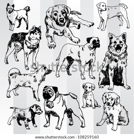 Dogs Hand Drawn