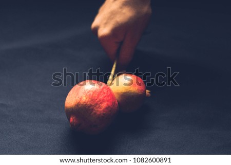 Granate Fruit and Hand