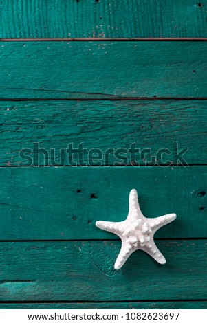 Summer time sea vacation background with star fish and marine rope. Retro toned