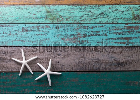 Summer time sea vacation background with star fish and marine rope. Retro toned