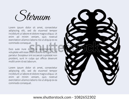 Sternum bones poster with text sample title, banner part of human organism skeletal system, headline vector illustration isolated on blue background