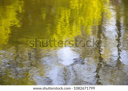 Water surface with reflection of foliage of trees
