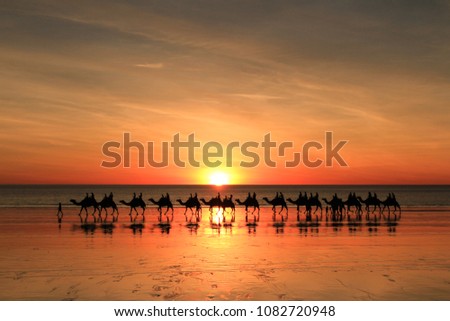 The famous sunset camel ride on Cable Beach in Broome, Western Australia Royalty-Free Stock Photo #1082720948