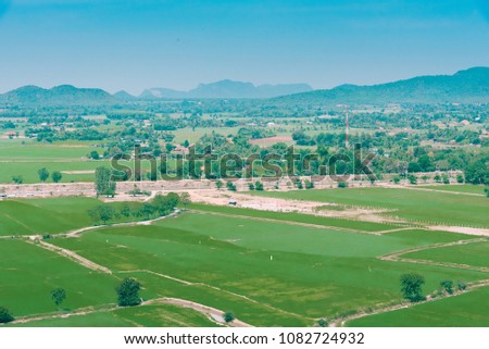 Landscape view of green farm with tree and mountain