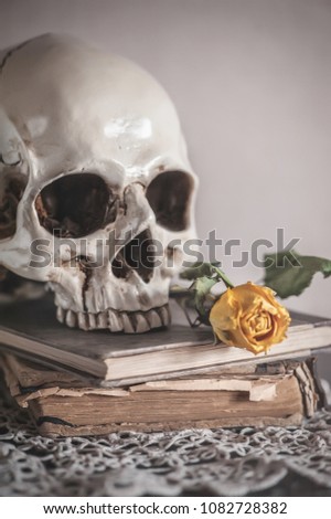Still life with dry roses and skull on old vintage book and lace