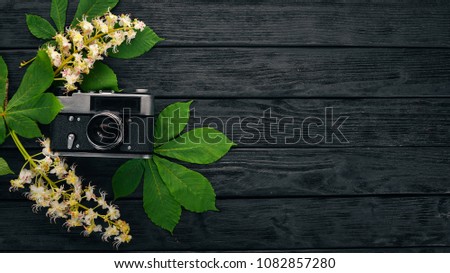 Camera and chestnut flowers. On a wooden background. Top view. Copy space.
