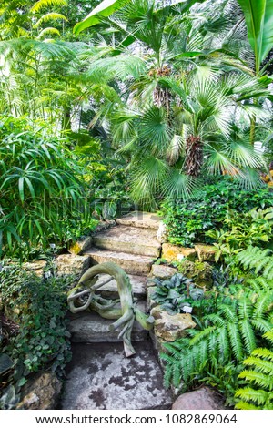 Sub tropical garden with palms, vibrant green plants, stone stairs.